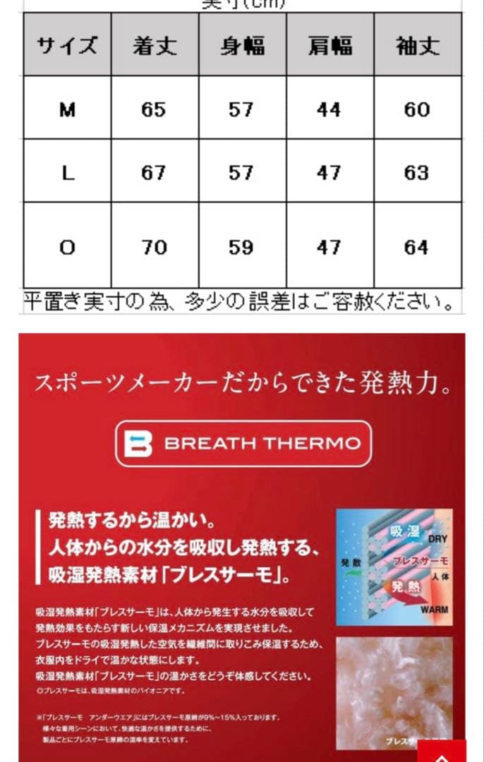 ミズノブレスサーモ リフレクションギアトラベルヘビーウェイトダウンジャケット M