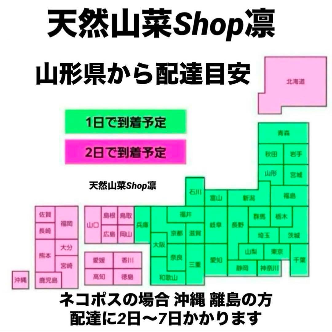天然きのこ 松茸 国産 マツタケ まつたけ 大自然の凛さん採取その139