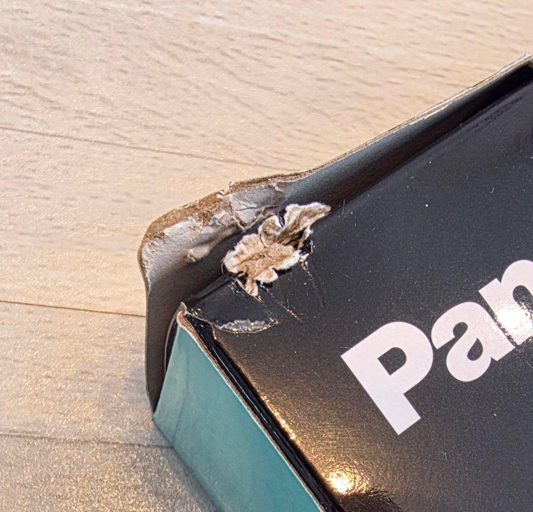 Panasonic ネックスピーカーシステム　SC-GNW10