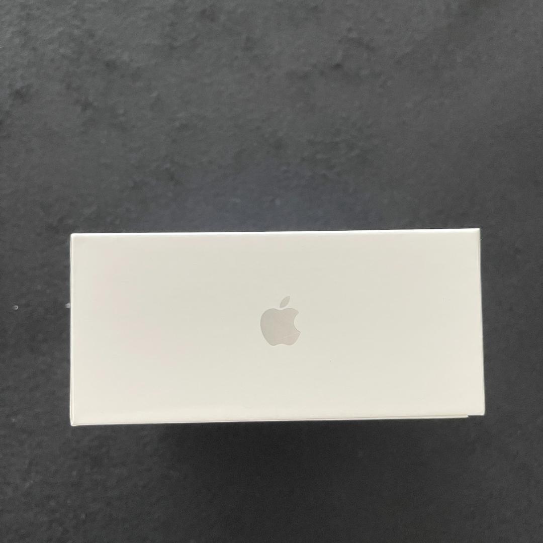 Apple AirPods Pro 第１世代