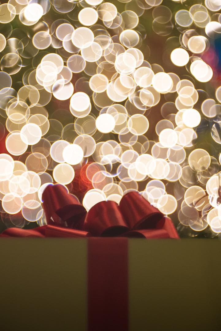 美品！イルミにバブルボケ！Trioplan 100mm F2.8 SONY用