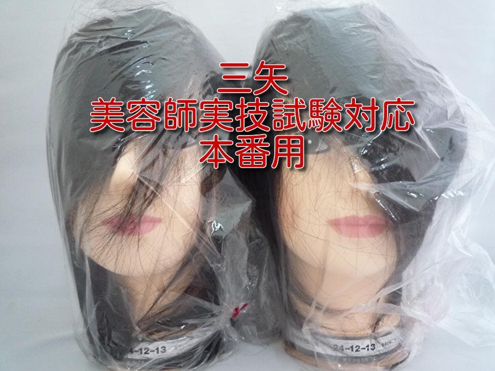 【2個セット】三矢 ウィッグ 美容師 美容 国家試験対応 ウイッグ①