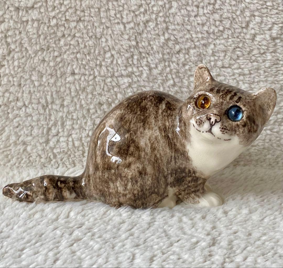 ウィンスタンレイキャット　ケンジントンキャット　丸まり猫　オッドアイ　サイズ2