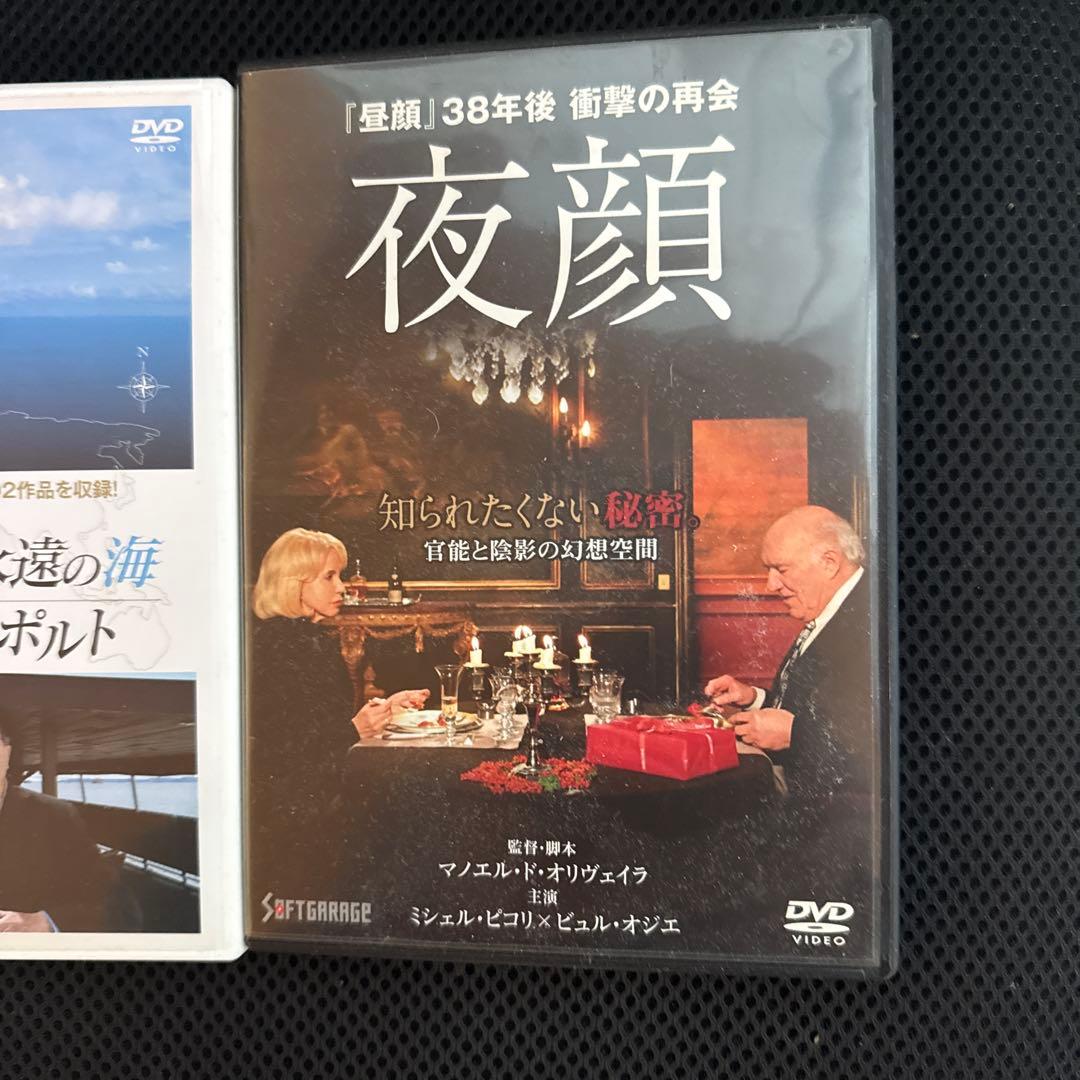 めめ　夜顔　コロンブス　2枚セット