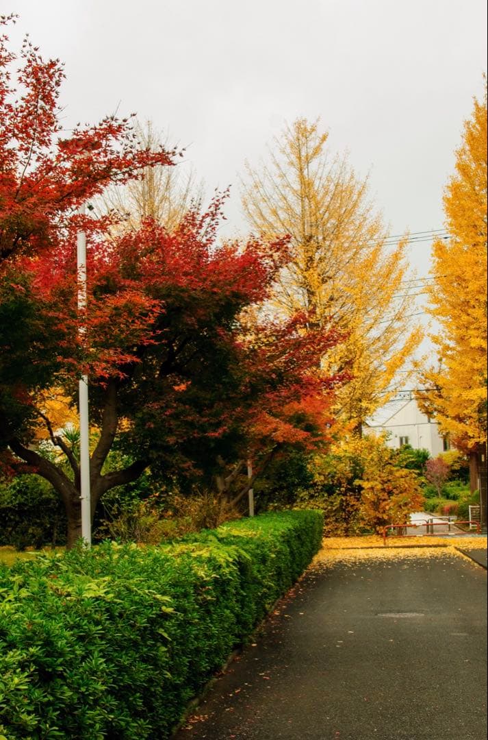 ＊KYYST5＊様専‼️レンズ込み