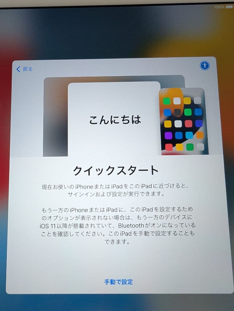 ipad mini4 専用充電器付き