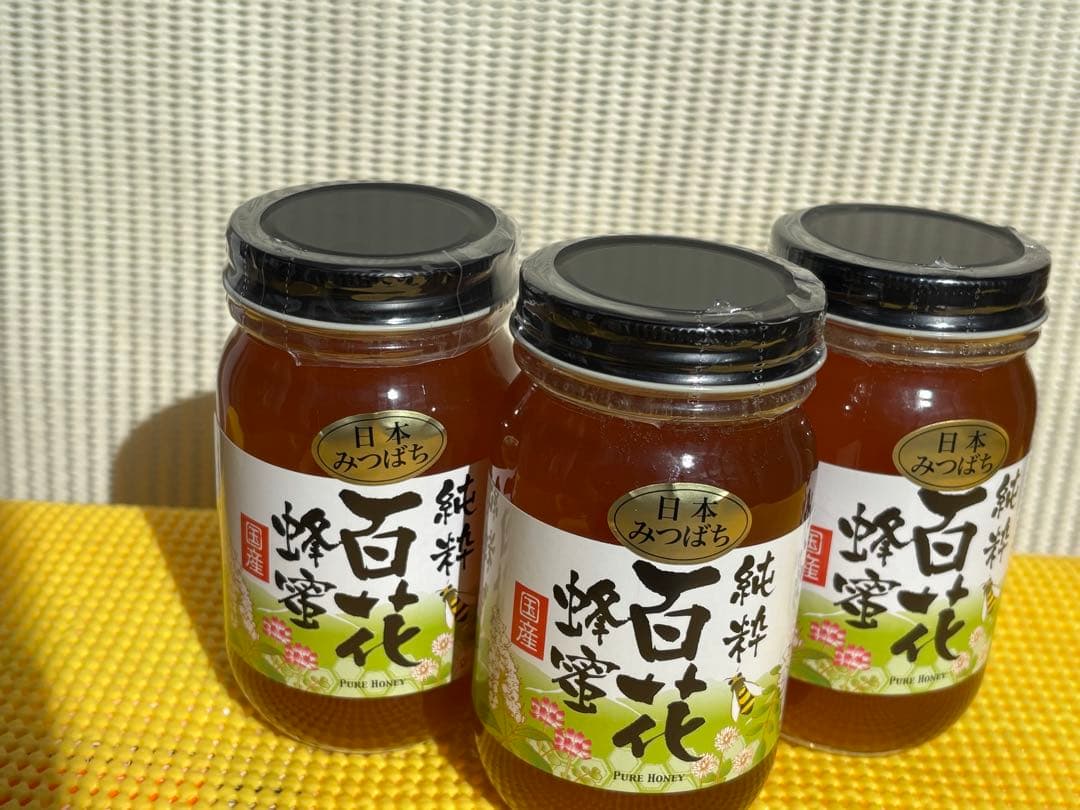 日本蜜蜂　蜂蜜　非加熱無調整純粋生ハチミツ