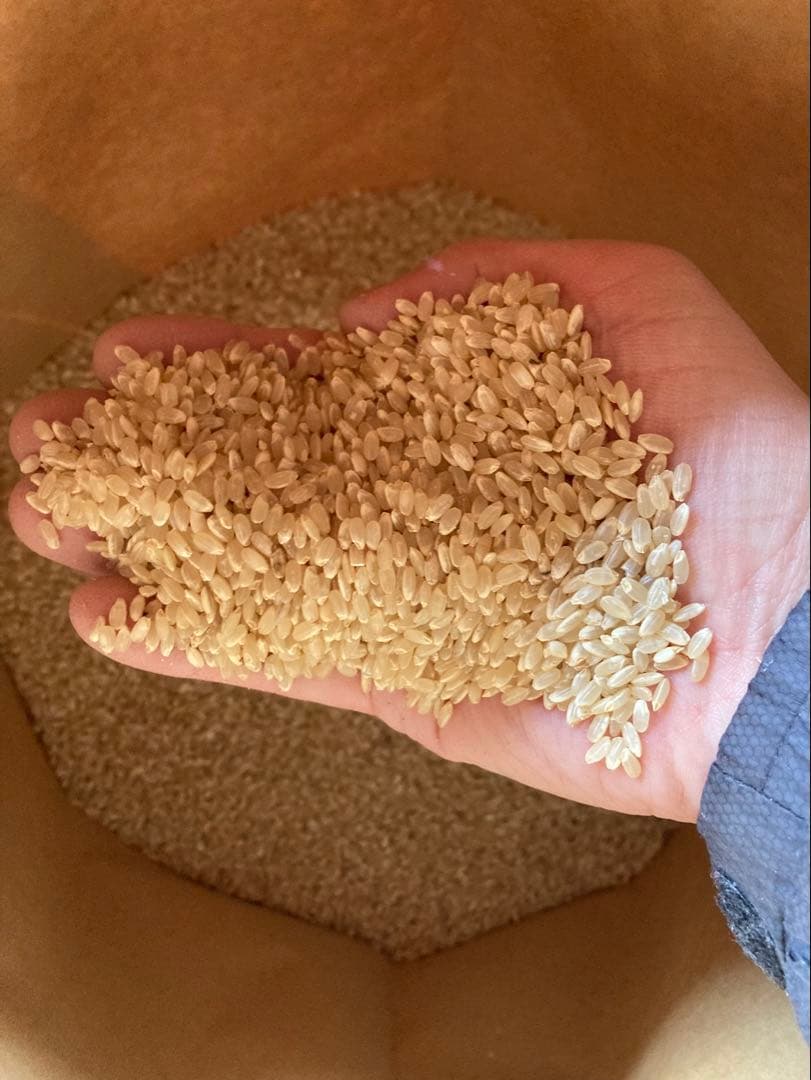 【送料別】令和7年栃木県佐野市産ゆうだい21玄米30kg