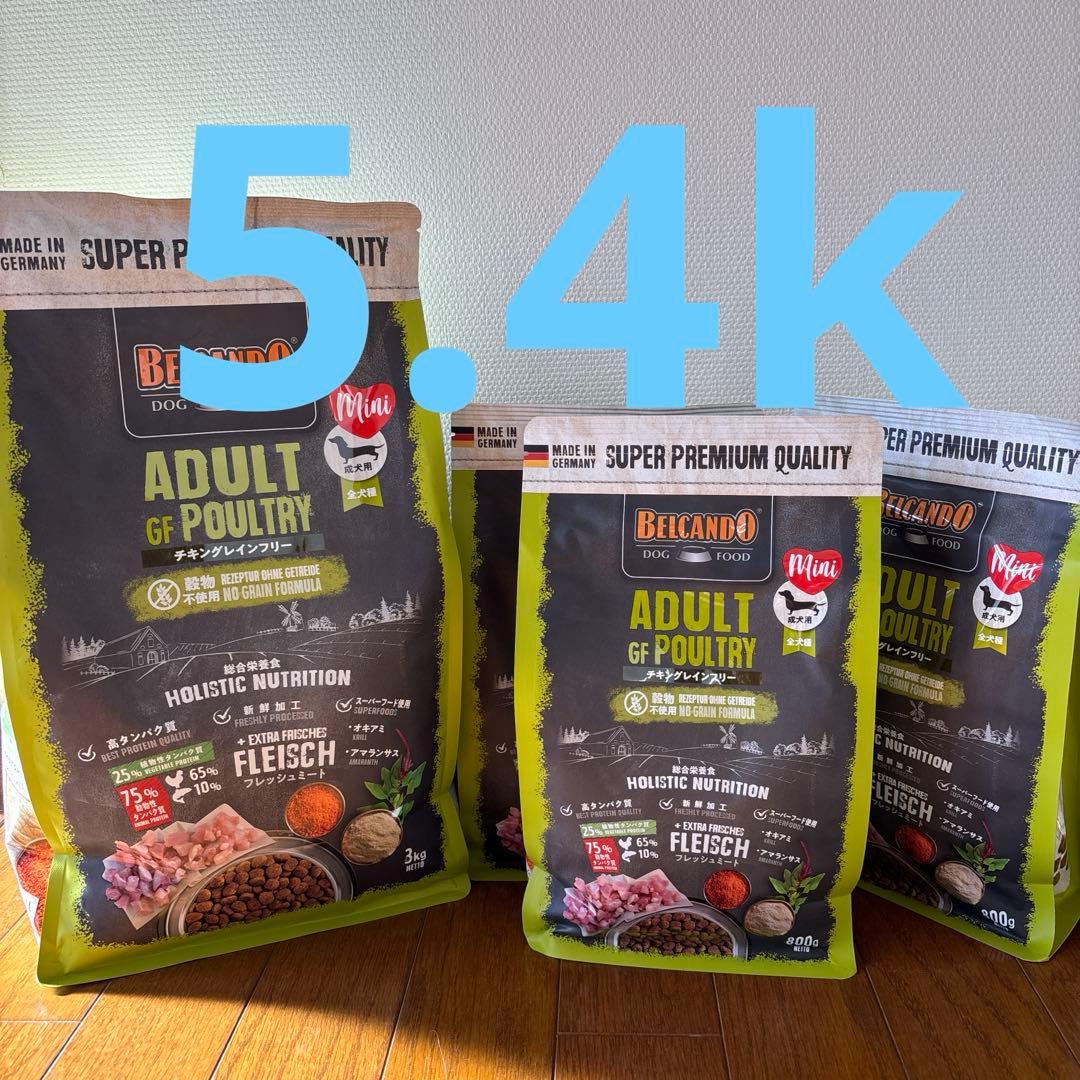 BELCANDO チキン&フィッシュ　グレインフリー5.4k