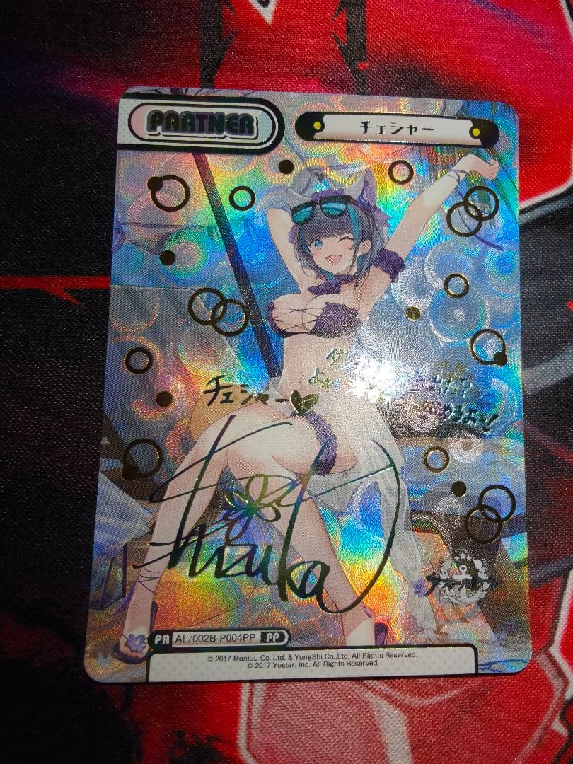 reバース アズールレーン　チェシャー　pp