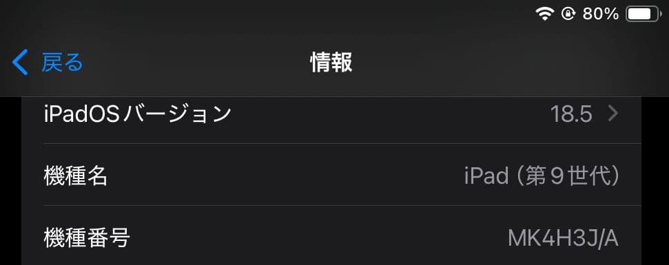 iPad 第9世代 Wi-Fi+Cellular 256GB シルバー