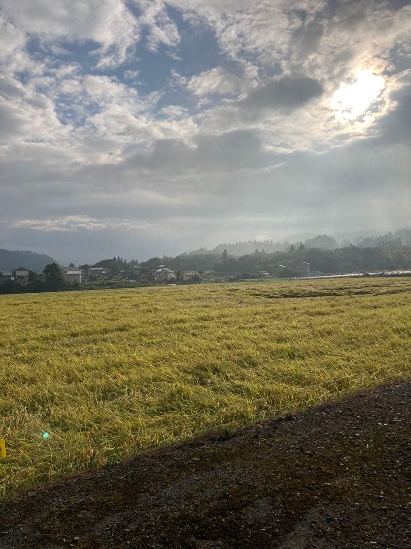 7年産魚沼コシヒカリ　玄米30kg