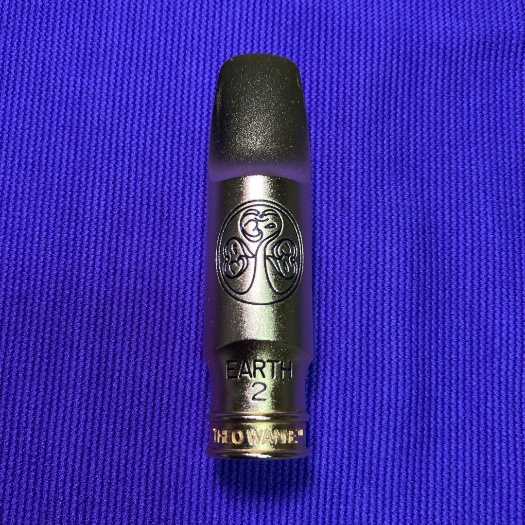 セオワニ EARTH オープニング7 アルトサックスMPリード10枚付