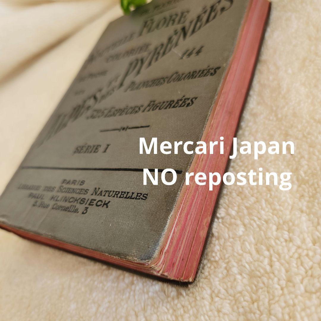 植物図鑑　洋書　ボタニカルアート　フランスアンティーク　　古書　14