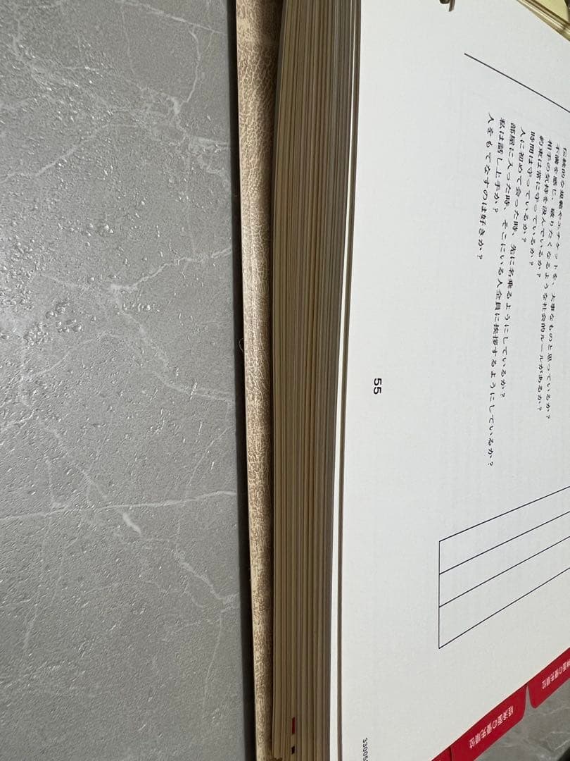 【美品】SMI★Dynamics of Personal Motivation