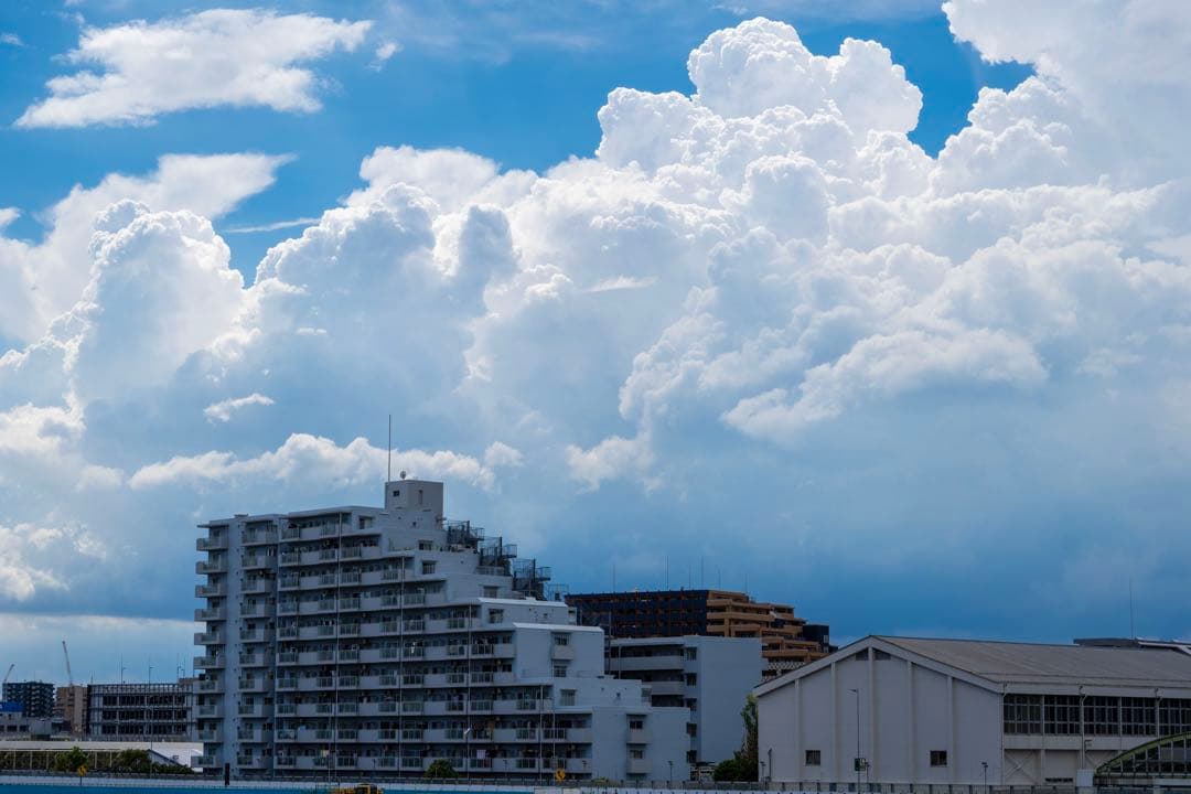 美品Sony α6100 16-50mm + SEL50F18F 2046枚