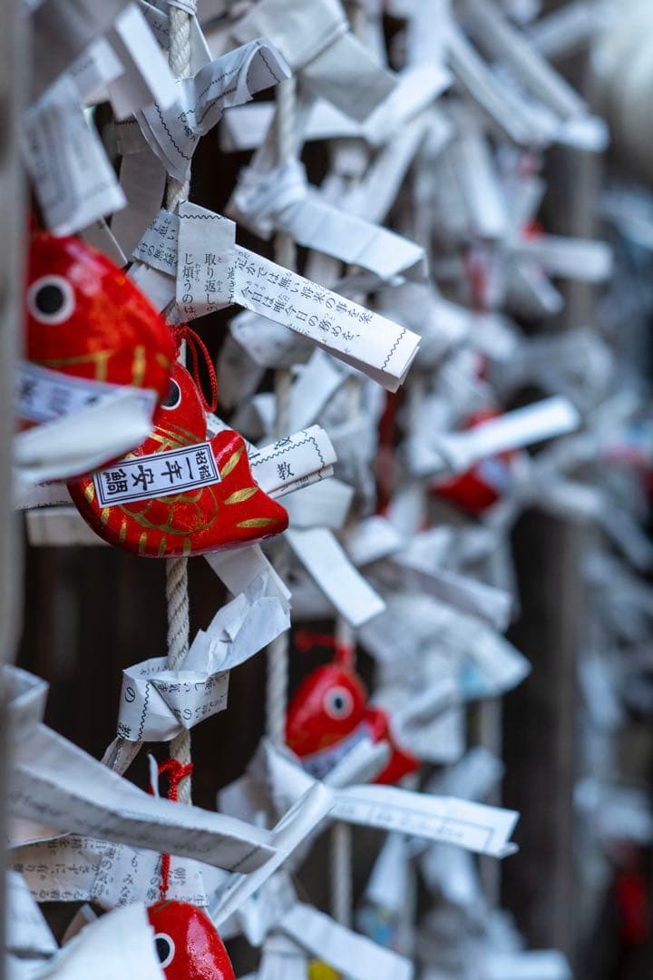 美品Sony α6100 16-50mm + SEL50F18F 2046枚