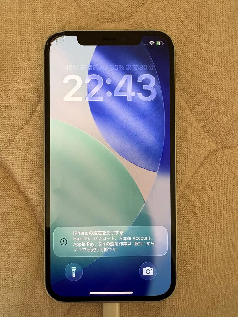 Apple iPhone 12 Green 64GB 本体と充電器