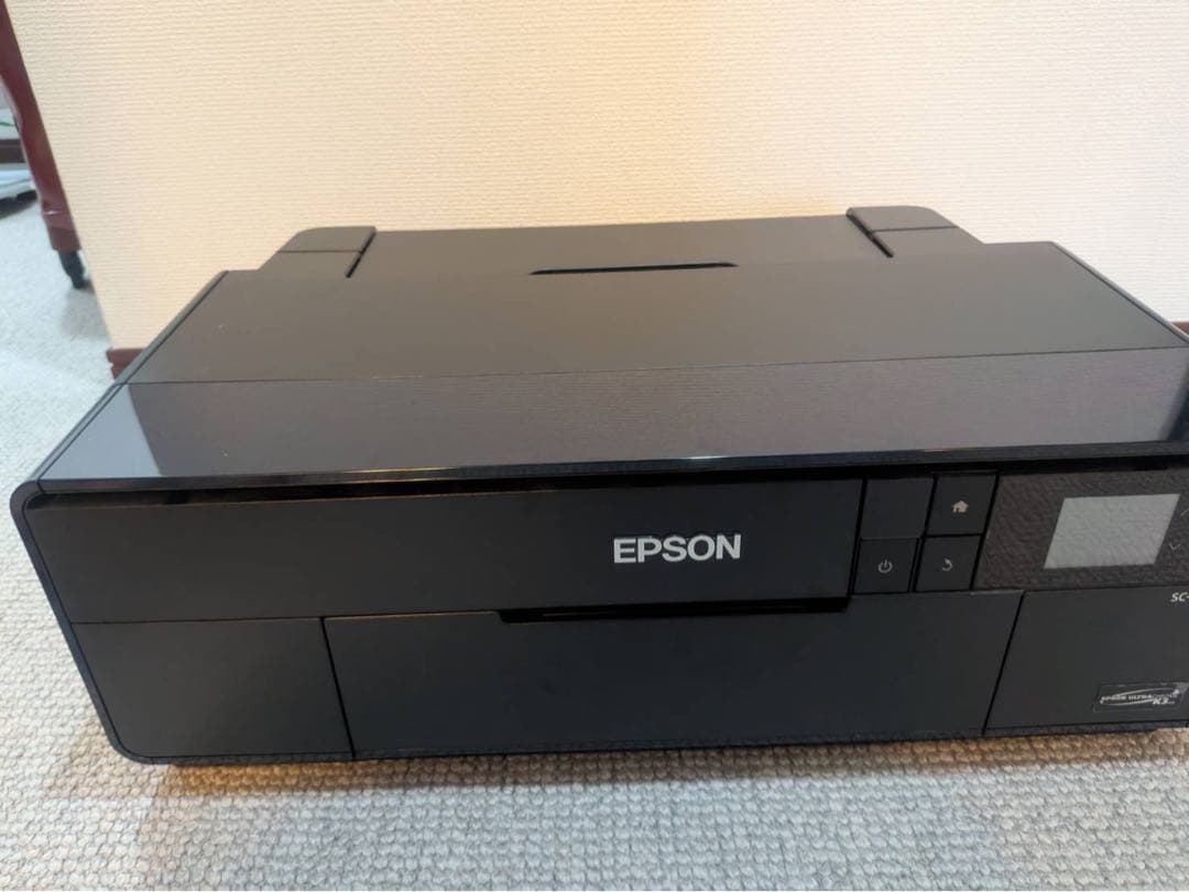 （超美品）EPSONプロセレクション SC-PX5VII インク9色パック2個付