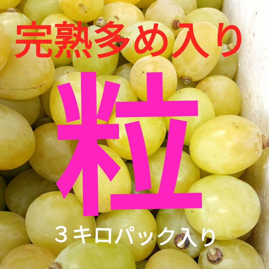 シヤインマスカット完熟多め入り3キロパック入りになります。