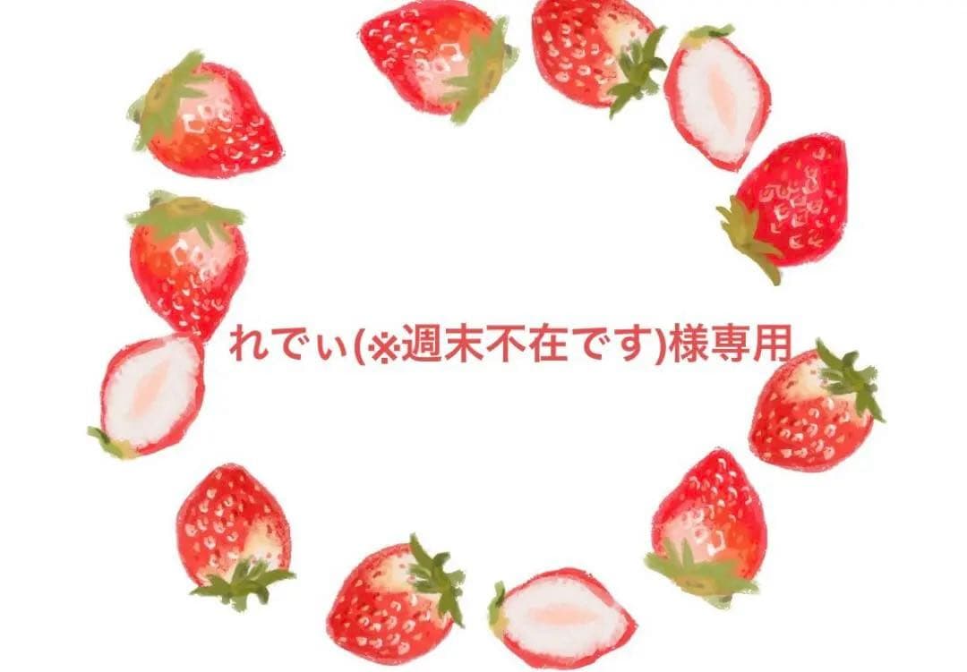 れでぃ(※週末不在です)専用