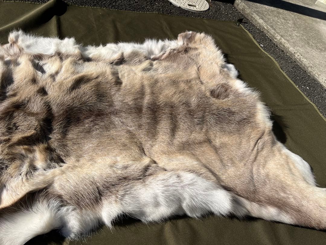 トナカイ　毛皮ラグカーペット