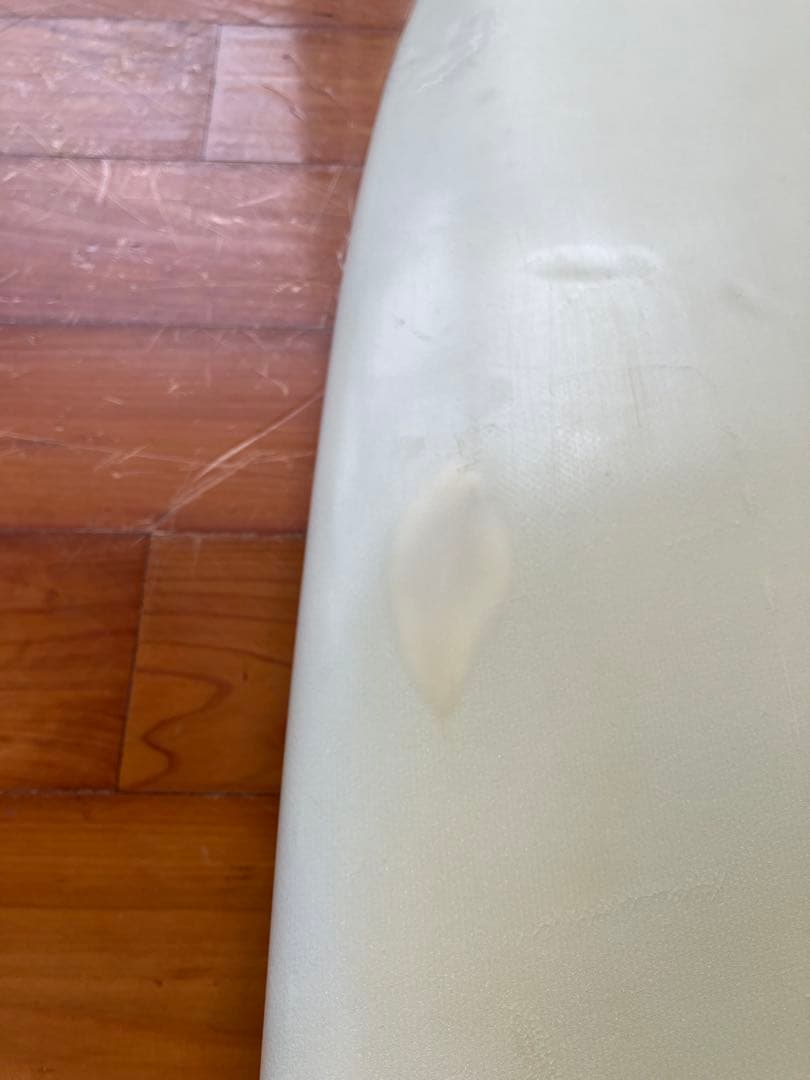 Tyler Warren Swallowed Soap 5.6 ミニシモンズ