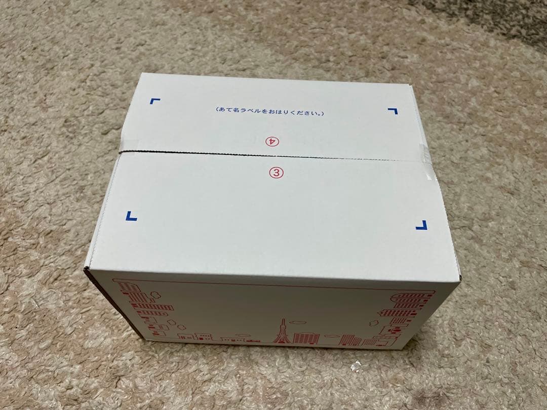 【別売り可能】1ペア オオムラサキ（四川省/中国）