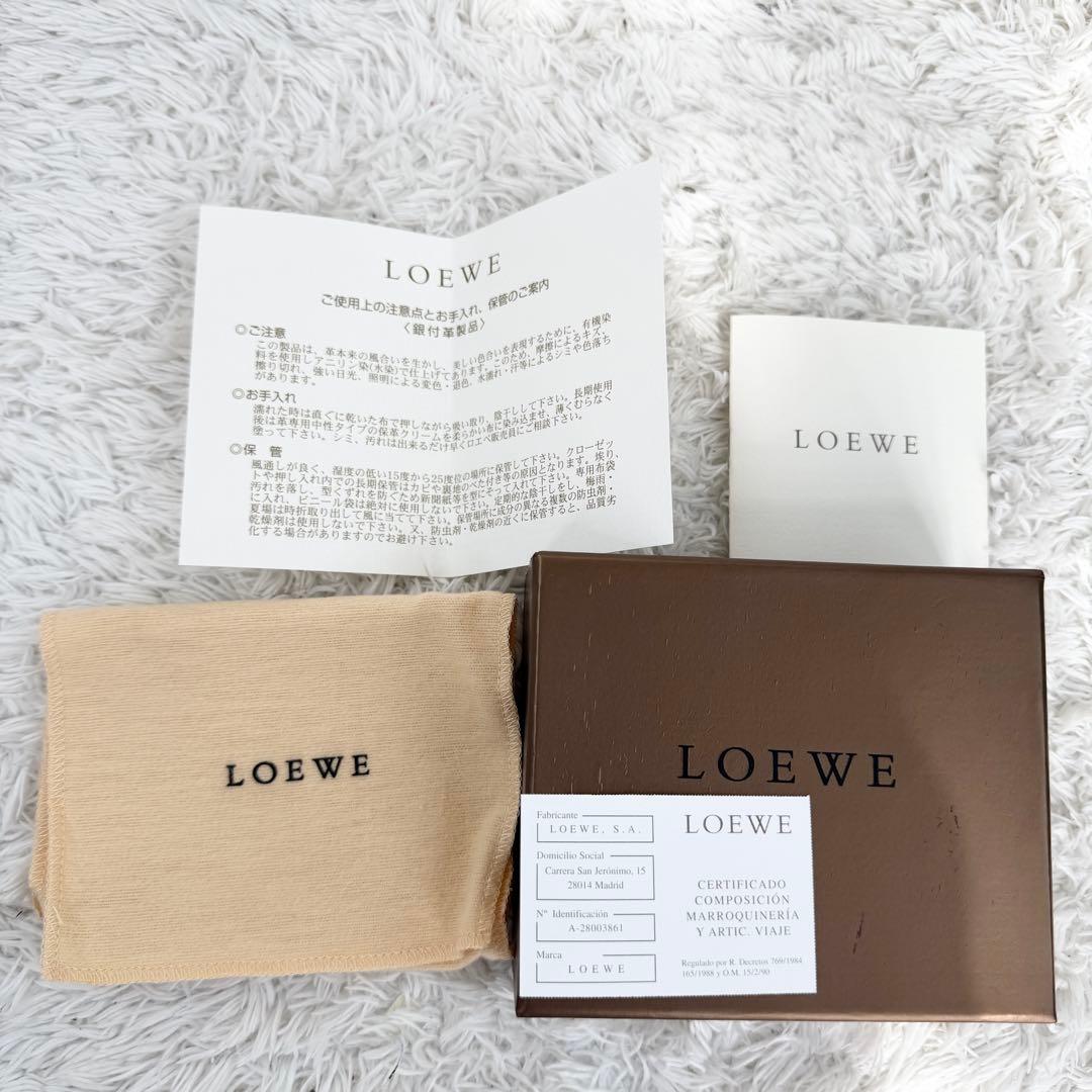極美品✨付属完備 ロエベ Loewe レザー ケースポーチ 本革 キャメル