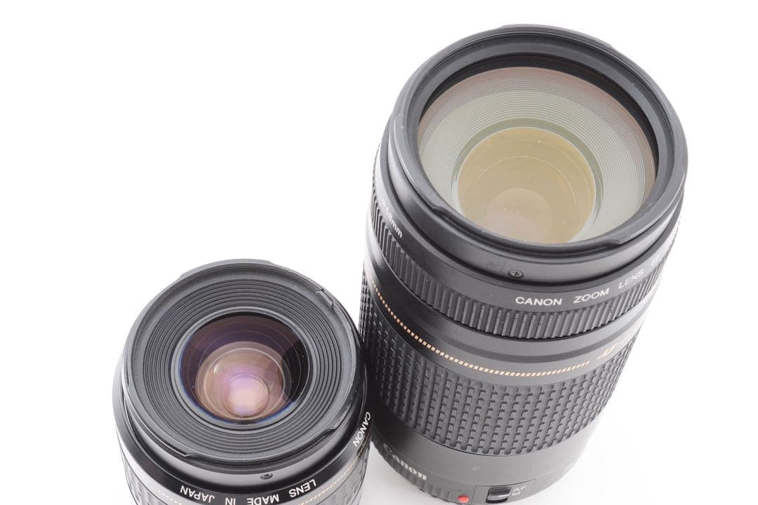 ☆Canon EOS 5D MarkIII標準&望遠ダブルレンズセット