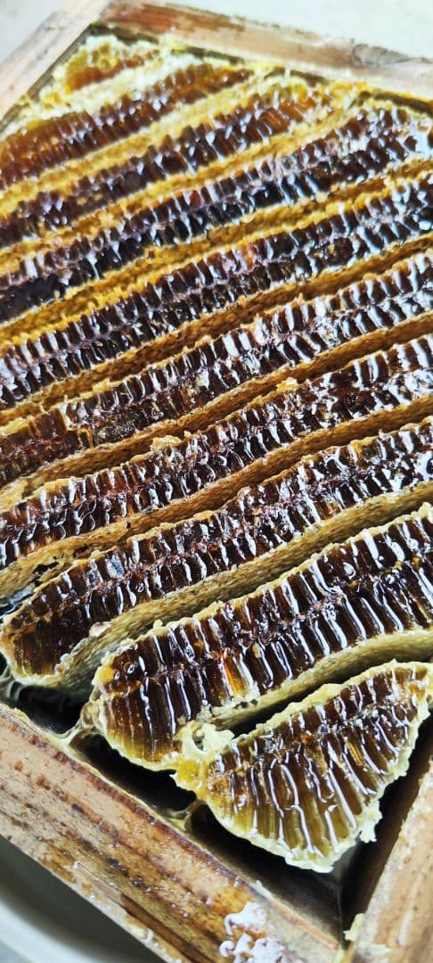 日本蜜蜂　はちみつ　非加熱　京都　京北産　　600×3