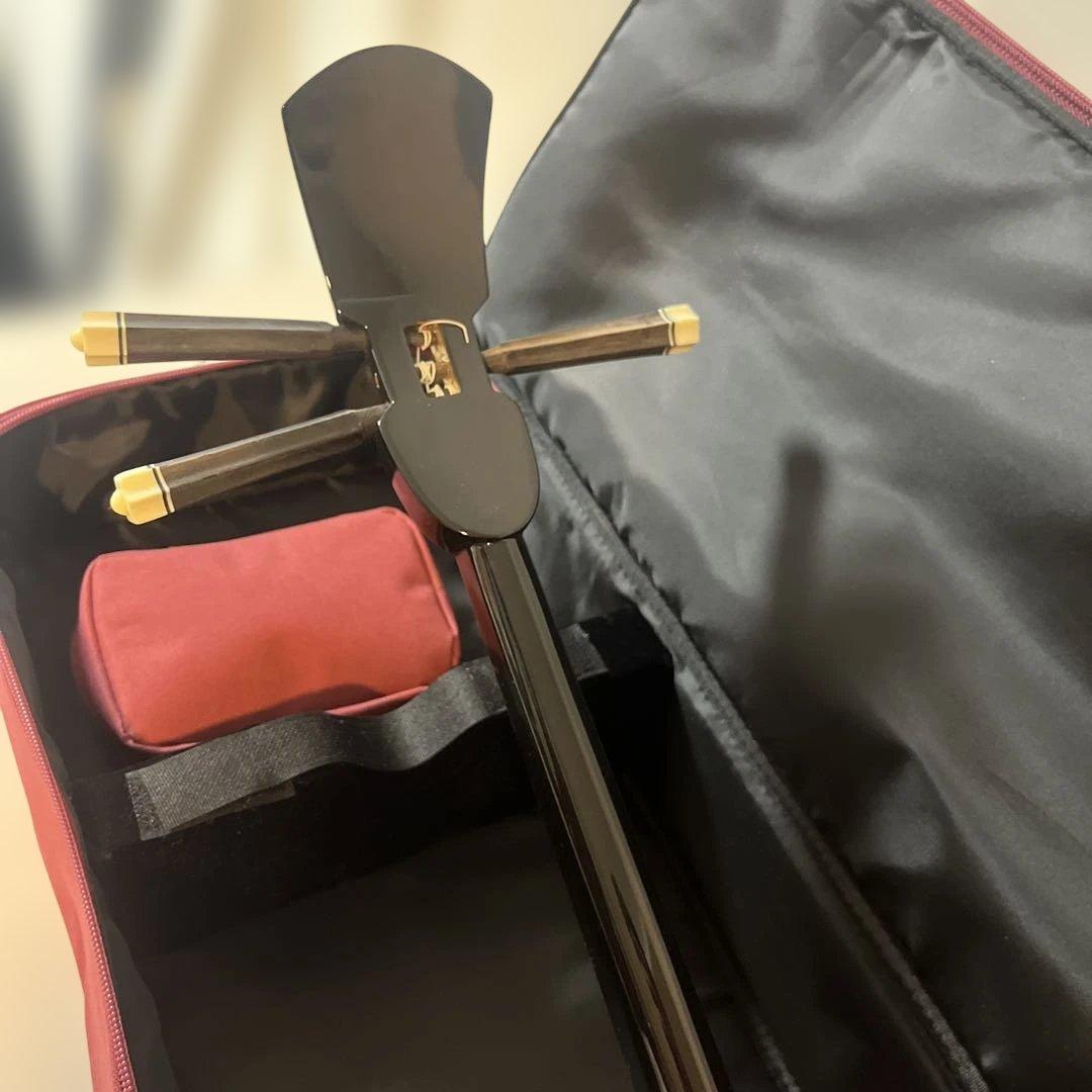 三線 本体 蛇の皮 ケース付き