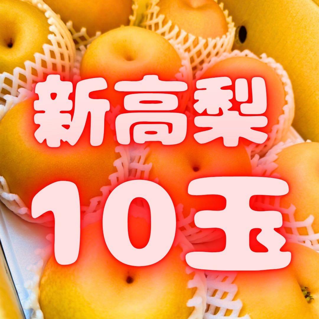 梨　新高梨　10玉　　15