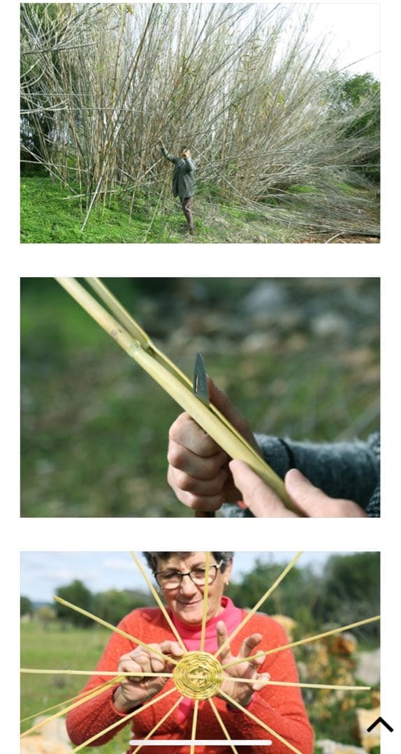 元祖　バーキンバスケット　かごバッグ　バスケット　ポルトガル　ジェーンバーキン