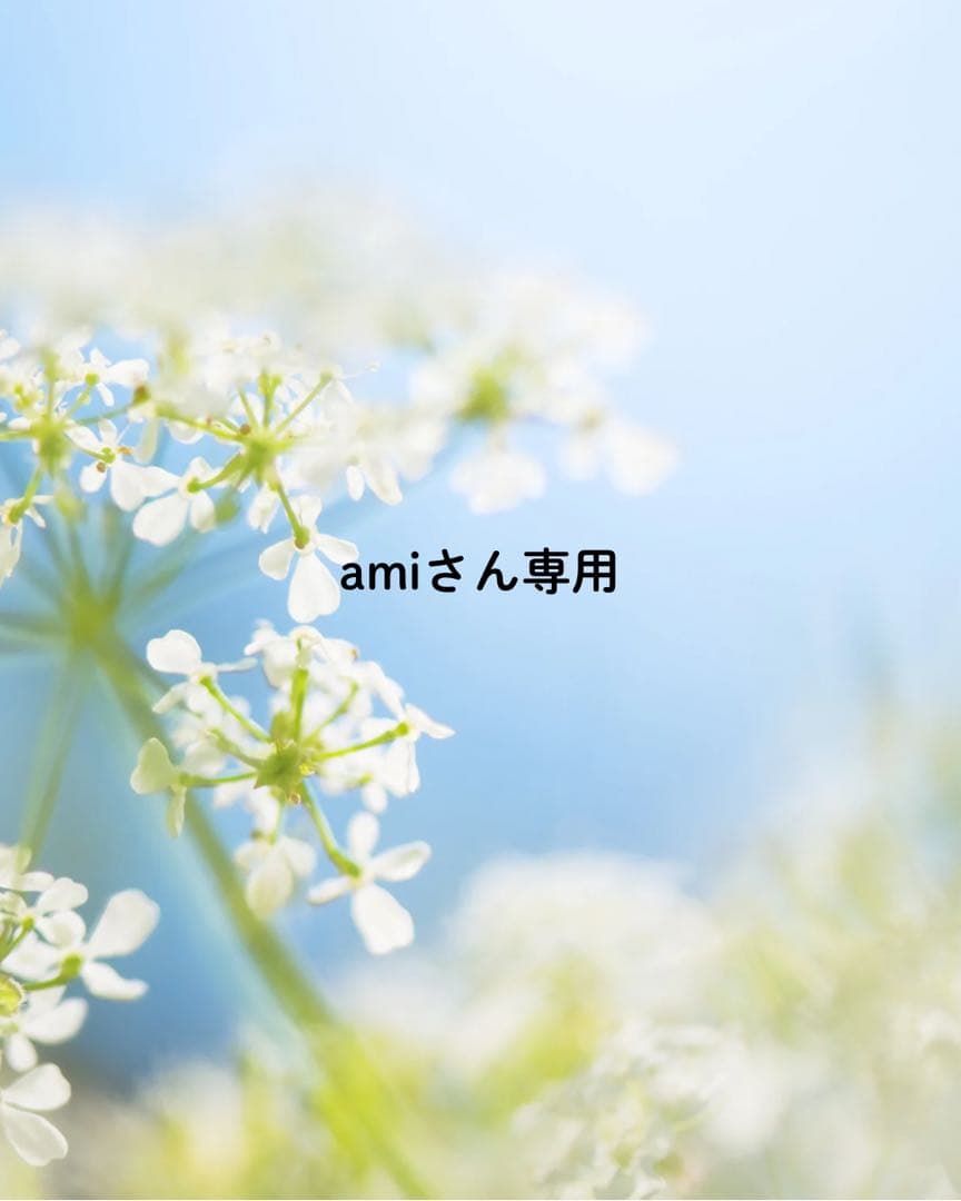 amiさん専用