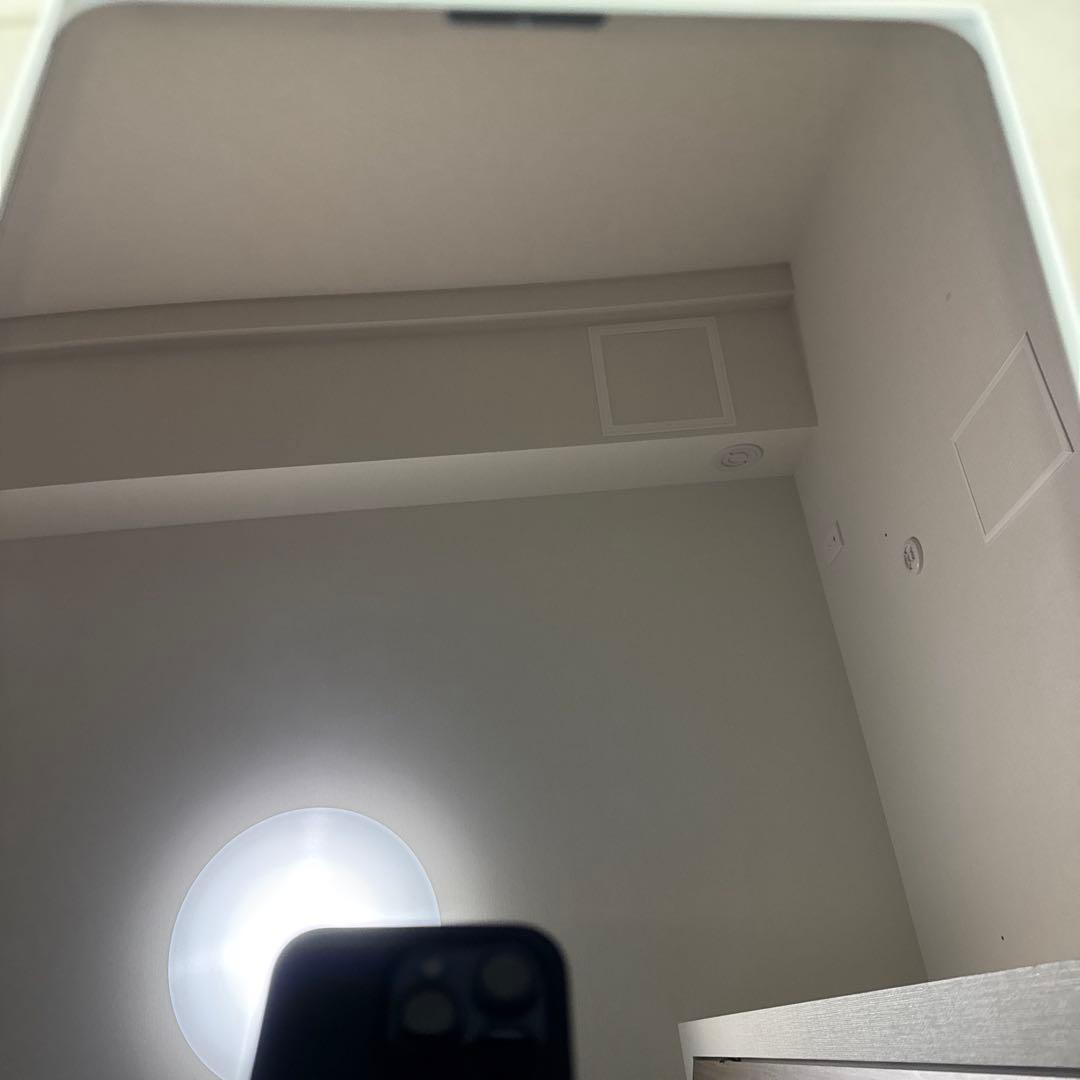 iPad Pro11インチ　第一世代256GB