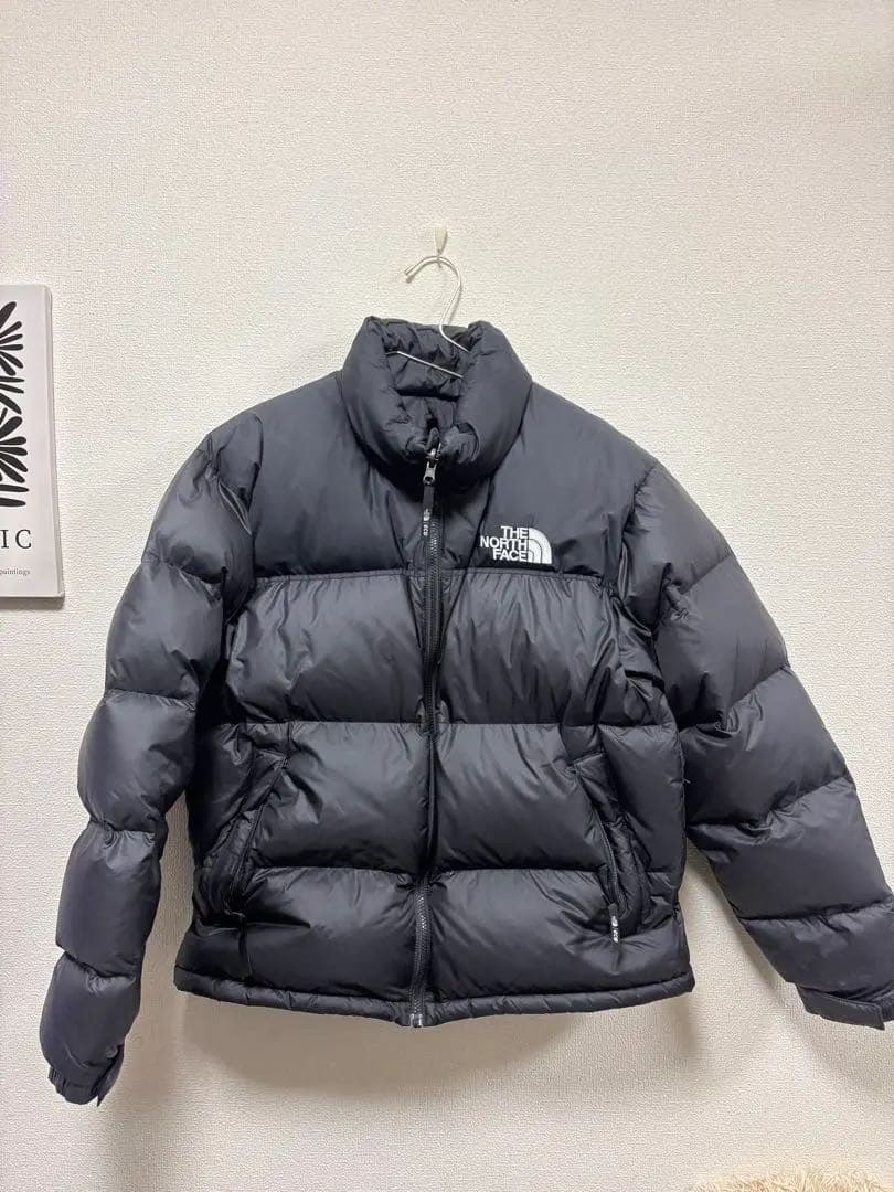 ノースフェイス ダウンジャケット エコヌプシ
