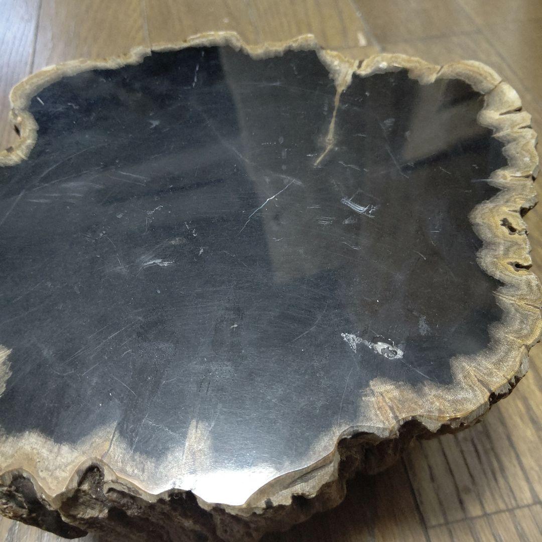 値下げ珪化木の置物　検木の化石　オブジェクトインテリアペトリファイドウッド