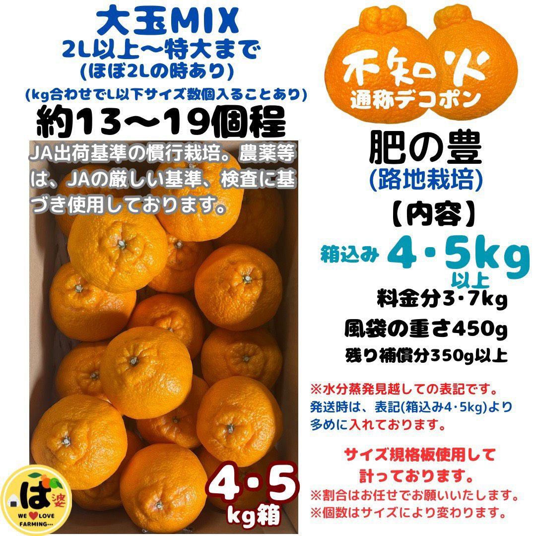 ※確認用　大玉MIX箱込み4.5kg以上【露地栽培　不知火　デコポン　肥の豊】