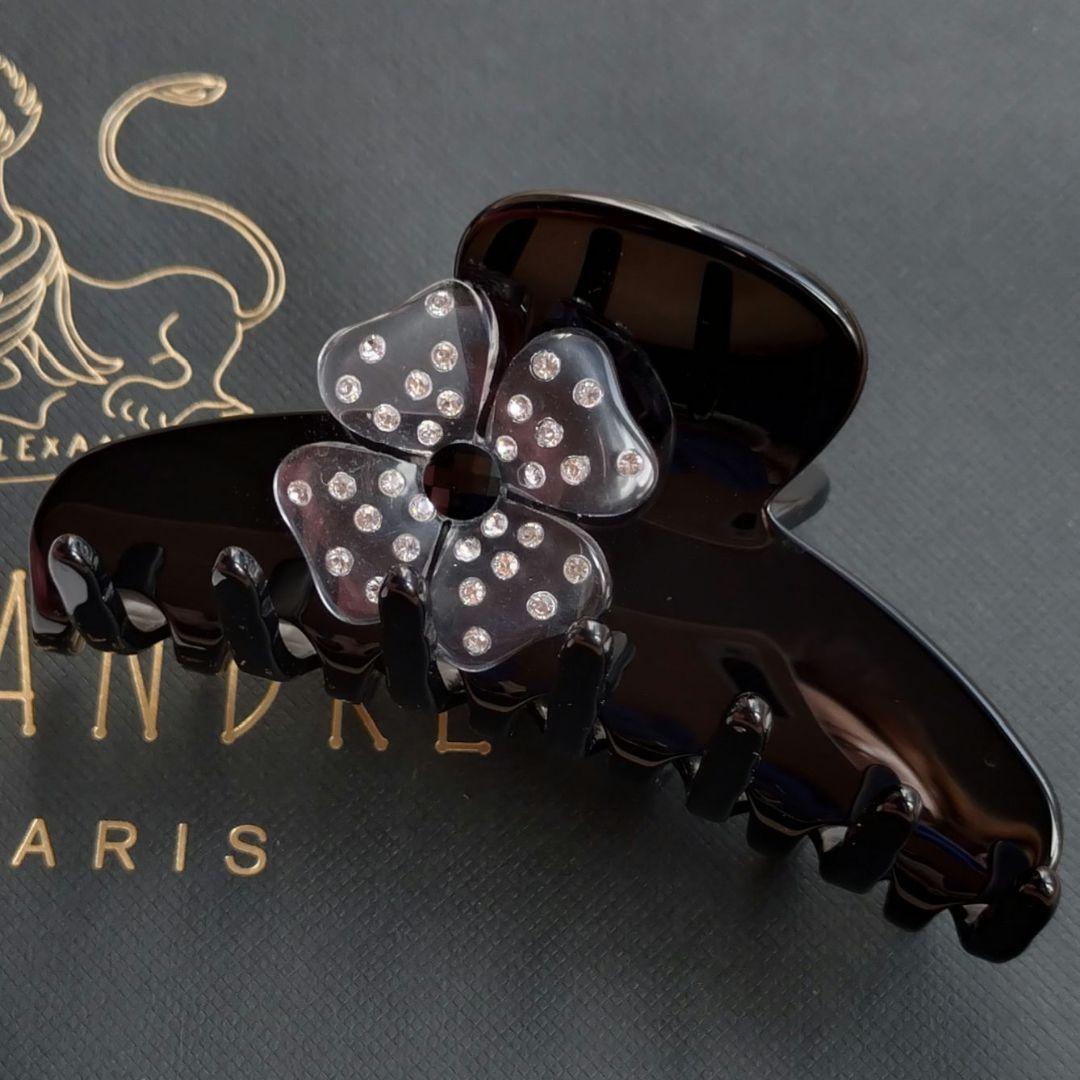 未使用　アレクサンドル　ドゥ　パリ　クリップ