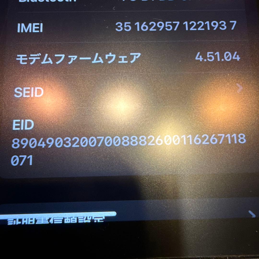 iPad mini6 64GB WI-FI+Cellular 本体