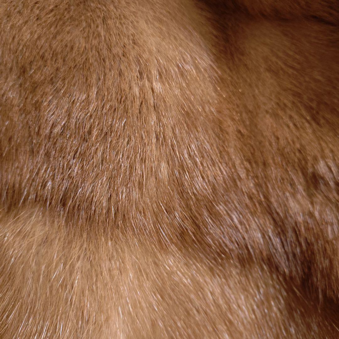 【美品・定価320万円】ミンク ロングコート リアルファー L