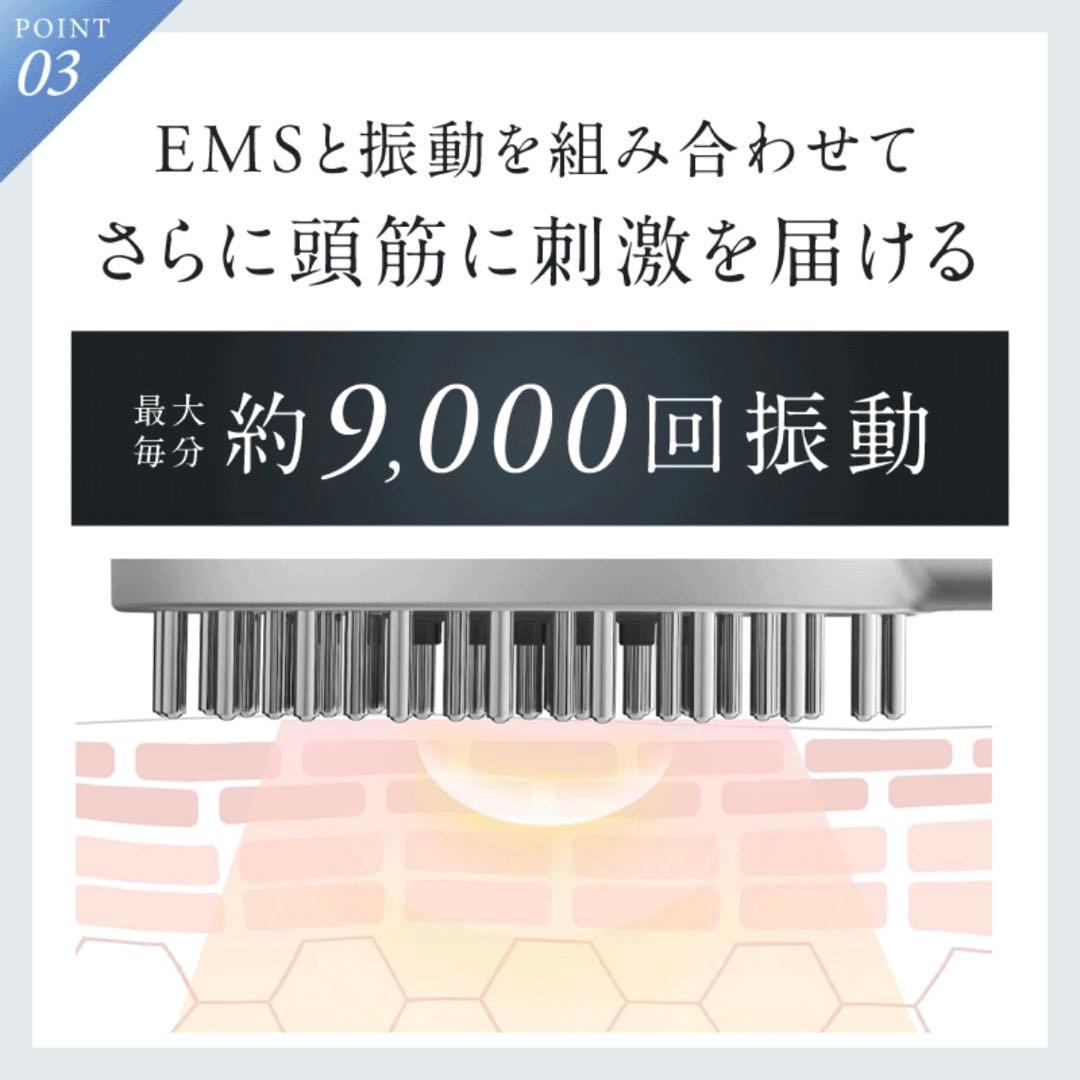 NIPLUX EMS LIFT BRUSH 美顔器