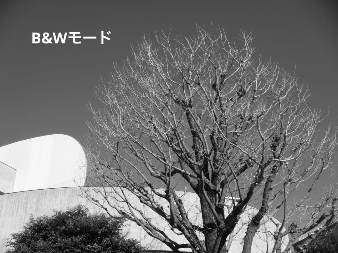 FUJIFILM FINEPIX Z20 ピンク 本体、充電器、4GBSDカード