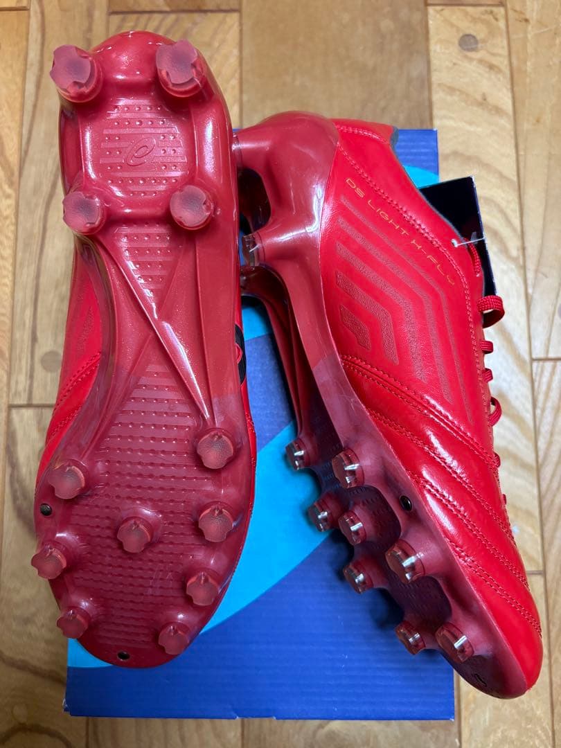 新品　激レア　廃盤　限定カラー　アシックス　DSライト X-FLY 4 25cm