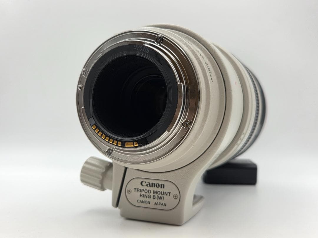 レンズ(ズーム) Canon EF 100-400mm F4.5-5.6 L IS USM