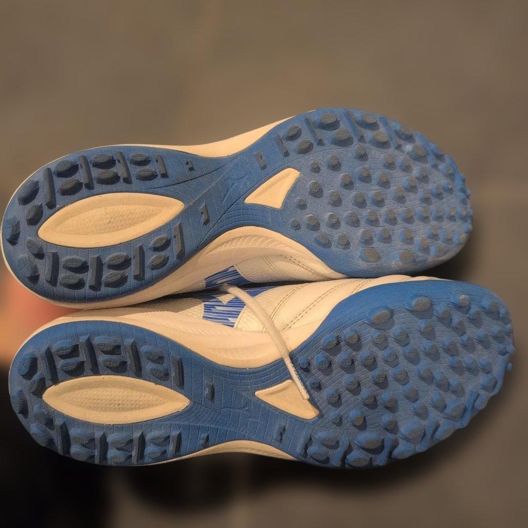 【今週末まで】モレリアネオsala β japan　TF 23cm