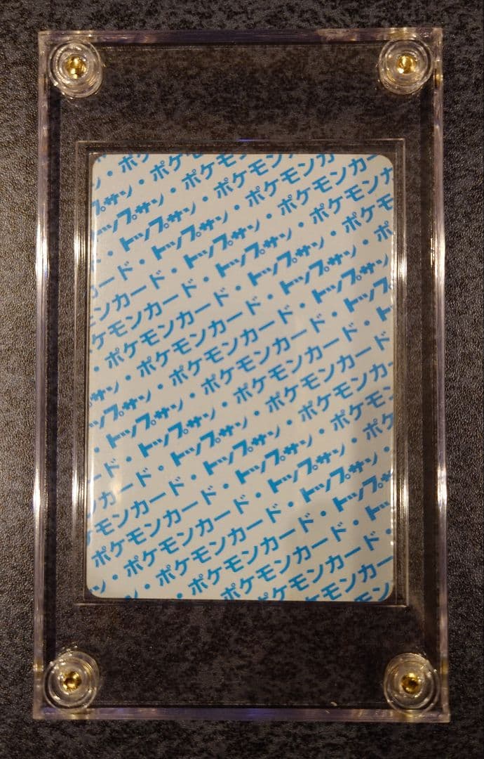 トップサン　ギャラドス　エラー版　番号なし　裏青